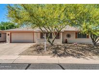 Single-story home with attached garage and mature landscaping at 20006 N Concho Cir, Sun City, AZ 85373