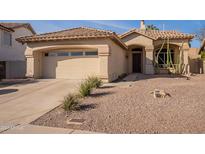 Single-story home with a two-car garage and desert landscaping at 16218 S 24Th Pl, Phoenix, AZ 85048