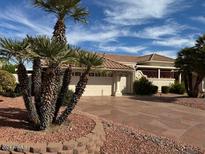 Single-story home with tile roof, palm trees, and a two-car garage at 13912 W Pavillion Dr, Sun City West, AZ 85375