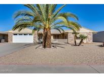 Single story home with attached garage, mature palm tree, and desert landscaping at 14437 N Boswell Blvd, Sun City, AZ 85351