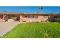 Brick ranch home with a grassy yard and palm trees at 10412 W Audrey Dr, Sun City, AZ 85351