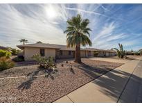 Single story home with desert landscaping and a large palm tree in the front yard at 9509 W Greenway Rd, Sun City, AZ 85351