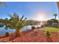 Backyard with canal view and artificial turf at 42575 W Abbey Rd, Maricopa, AZ 85138