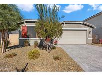 Single-story home with a two-car garage and landscaped front yard at 18394 W Ipswitch Way, Surprise, AZ 85374