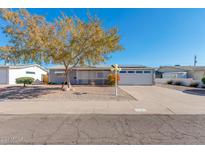 Ranch style home with a well-manicured lawn and driveway at 1161 S Grand Dr, Apache Junction, AZ 85120