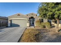 Single-story home with gray exterior, two-car garage, and landscaped front yard at 1792 W Loemann Dr, San Tan Valley, AZ 85144