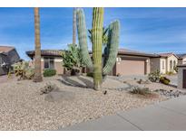 Desert landscaping with a large saguaro cactus in front of a single-story home at 17774 W Parra Dr, Surprise, AZ 85387