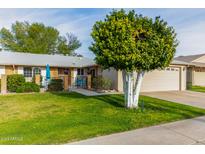 Inviting front yard with lush green grass, mature trees, and a paved walkway at 10202 W Mountain View Rd, Sun City, AZ 85351