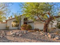 Inviting front yard with mature trees, desert landscaping, and a welcoming entryway at 808 N Williams Cir, Mesa, AZ 85203