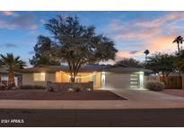 Stunning curb appeal with updated landscaping and modern facade at 3809 N 87Th Pl, Scottsdale, AZ 85251