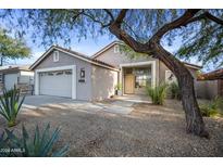 Single story home with gray exterior, two car garage, and landscaped front yard at 4443 E Thorn Tree Dr, Cave Creek, AZ 85331