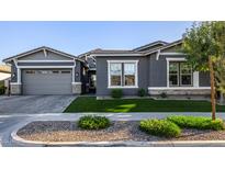 Single-story home with gray exterior, stone accents, and a landscaped lawn at 10243 E Seismic Ave, Mesa, AZ 85212