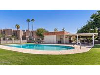 Community pool with grassy area and covered patio at 771 E Pepper Dr, Casa Grande, AZ 85122