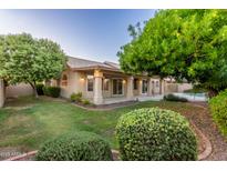 Spacious backyard with grassy lawn, covered patio, and mature trees at 14829 N 41St Pl, Phoenix, AZ 85032