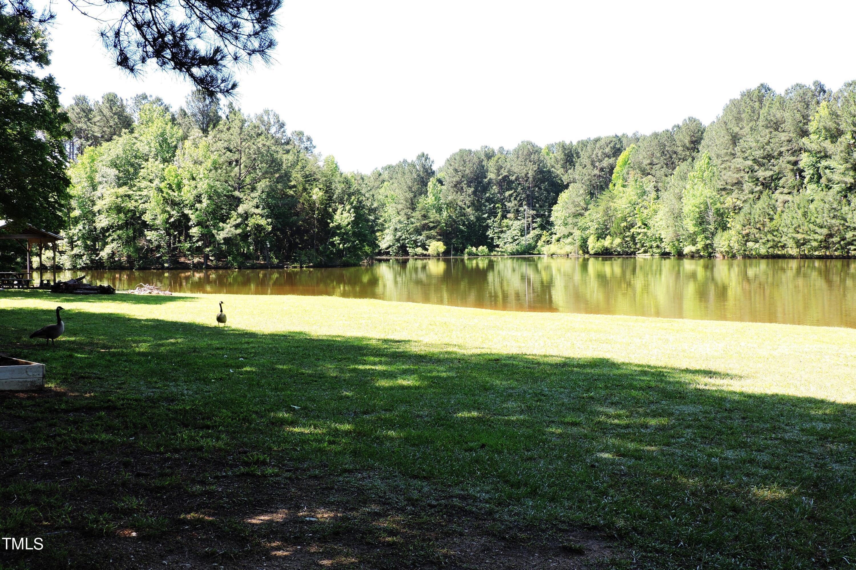 Photo #28