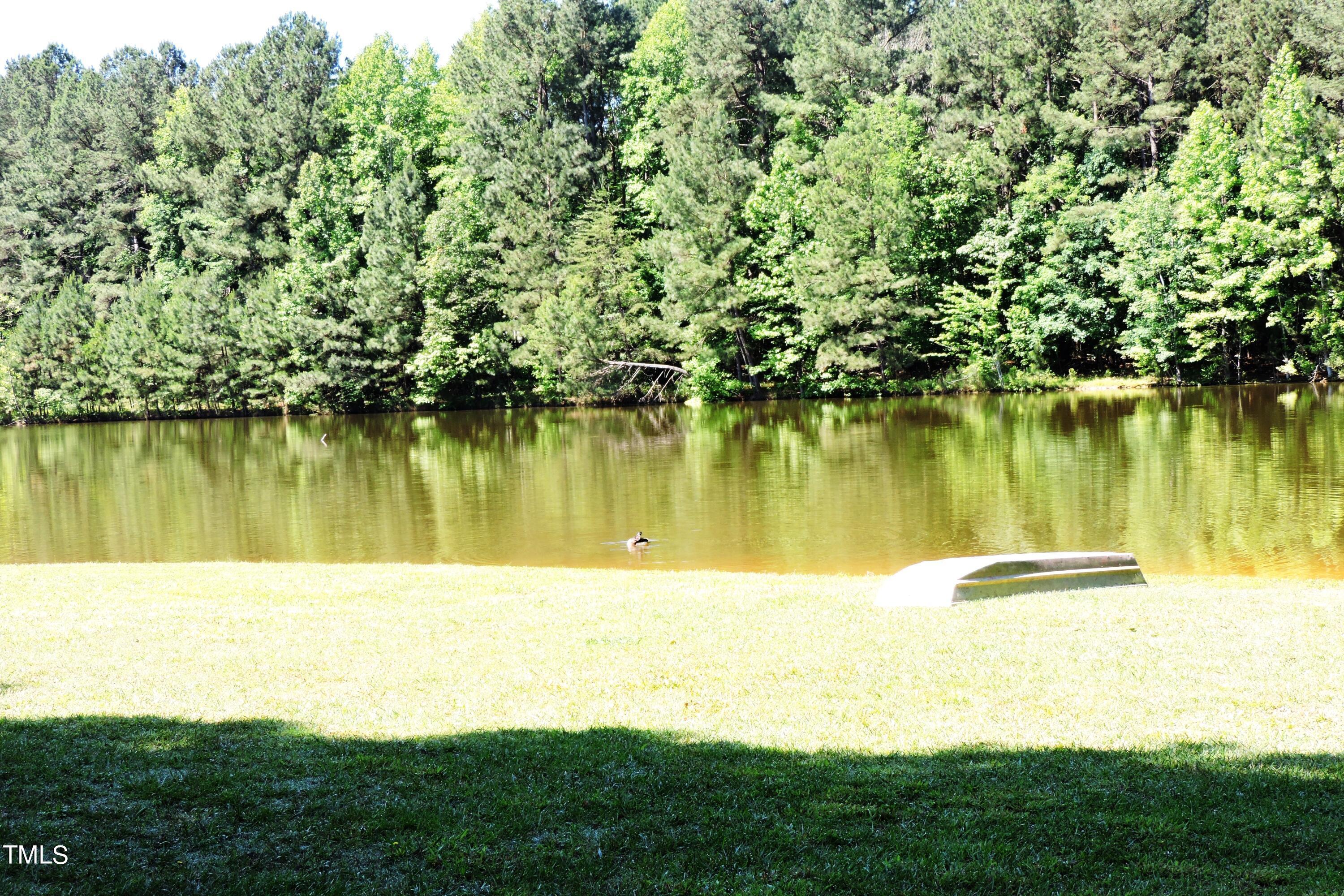 Photo #27