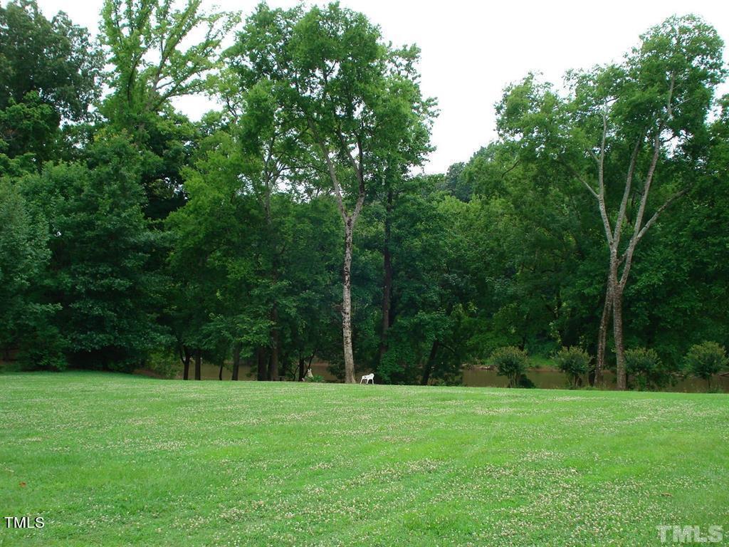 Photo #37