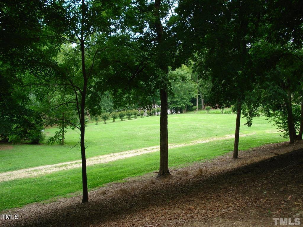 Photo #32