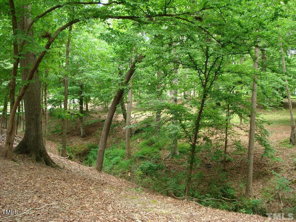 Photo #38