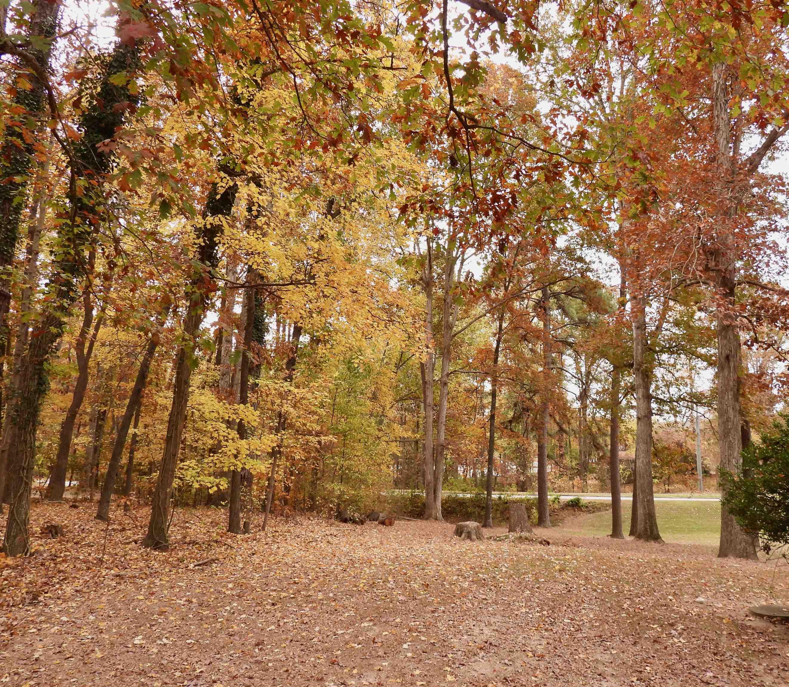 Photo #33