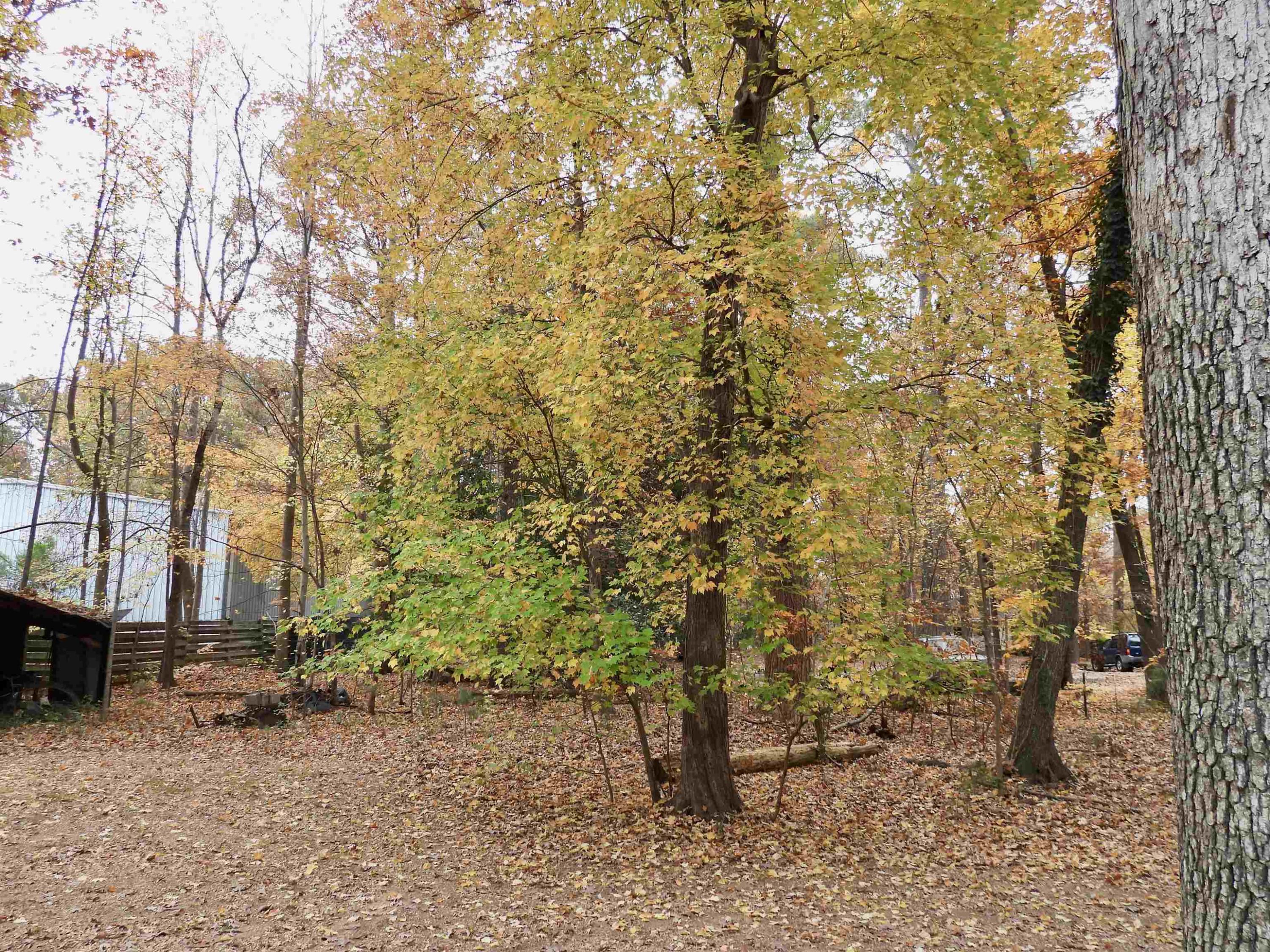 Photo #36