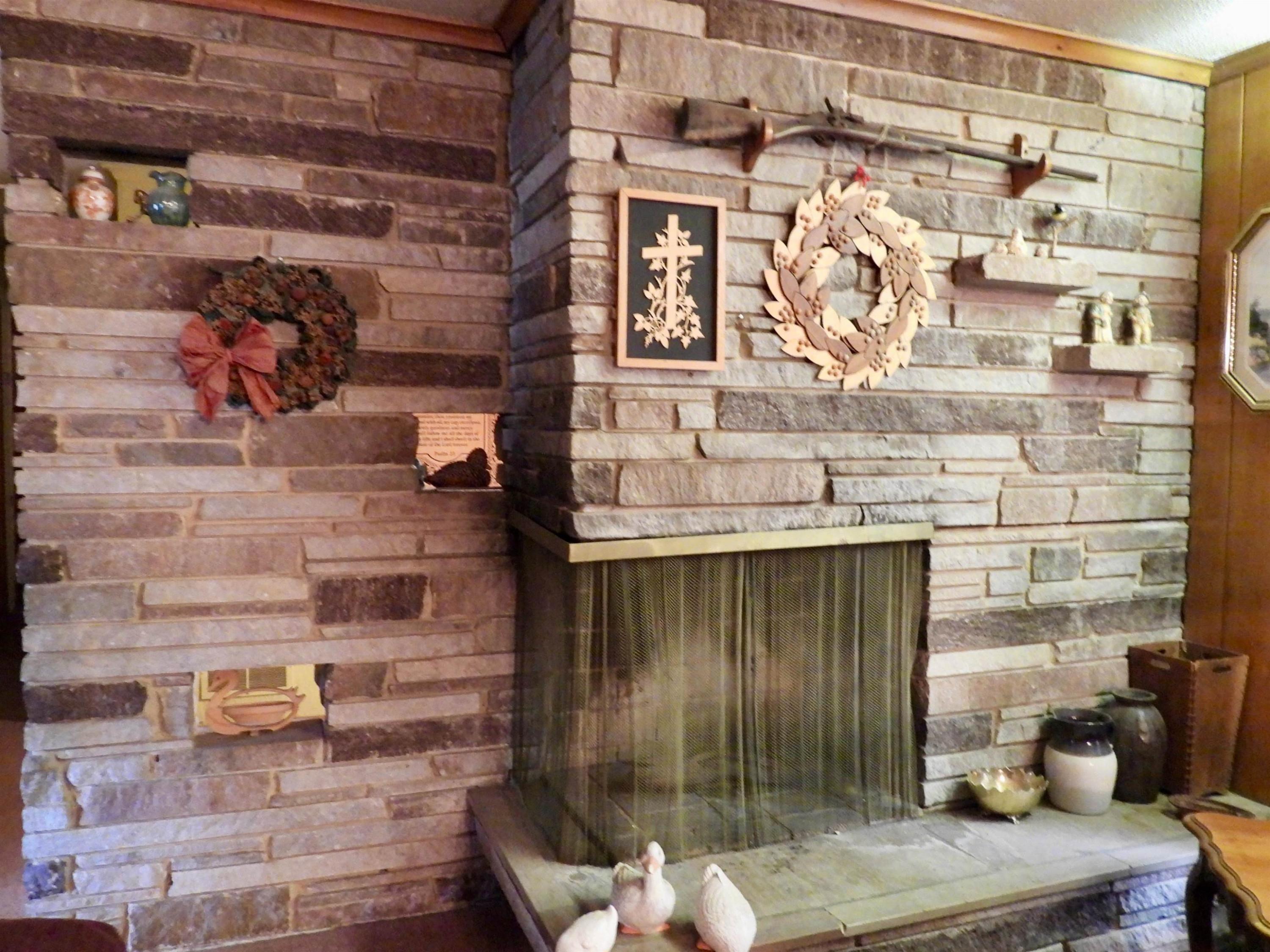 Photo #12