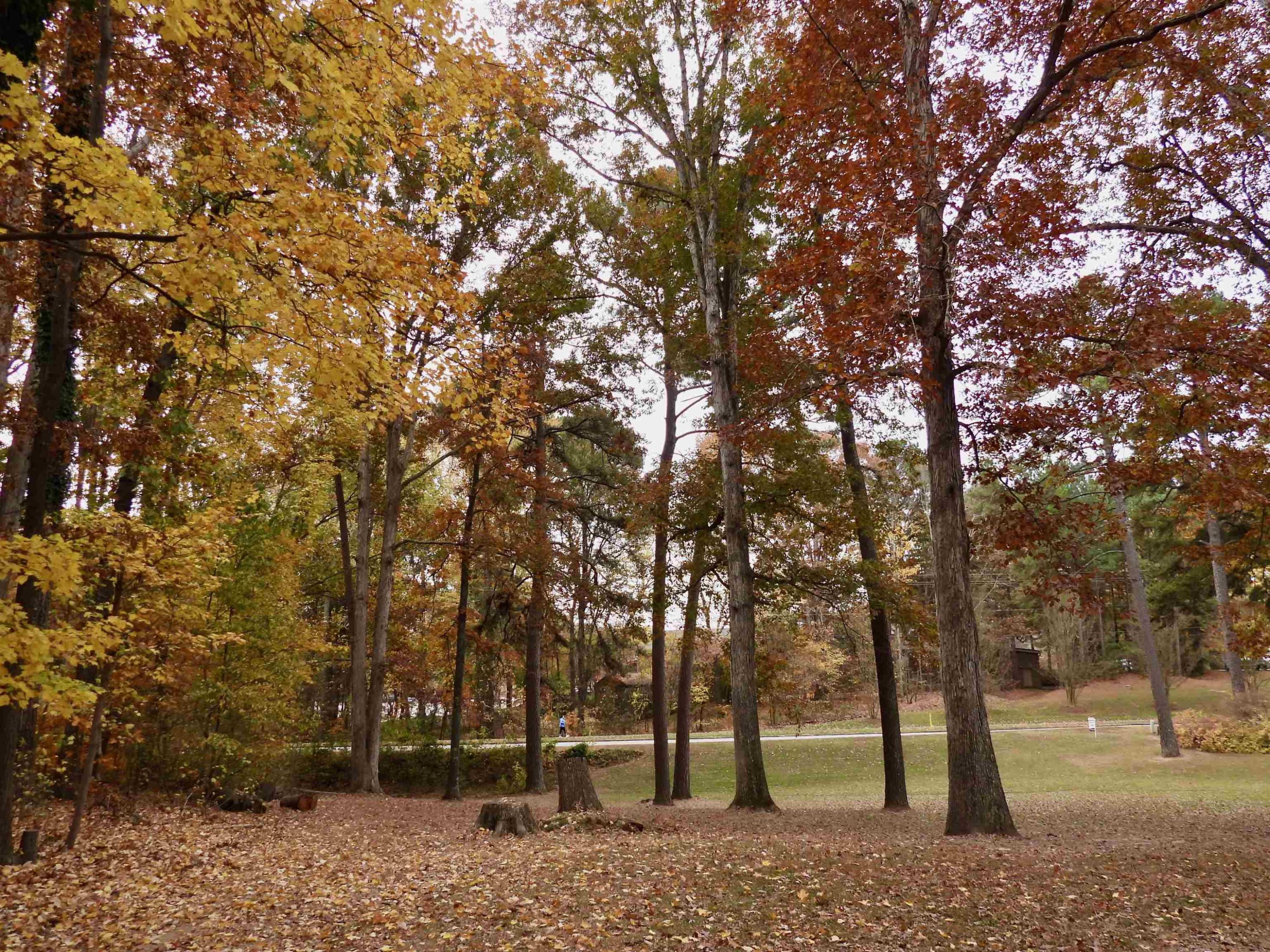 Photo #32