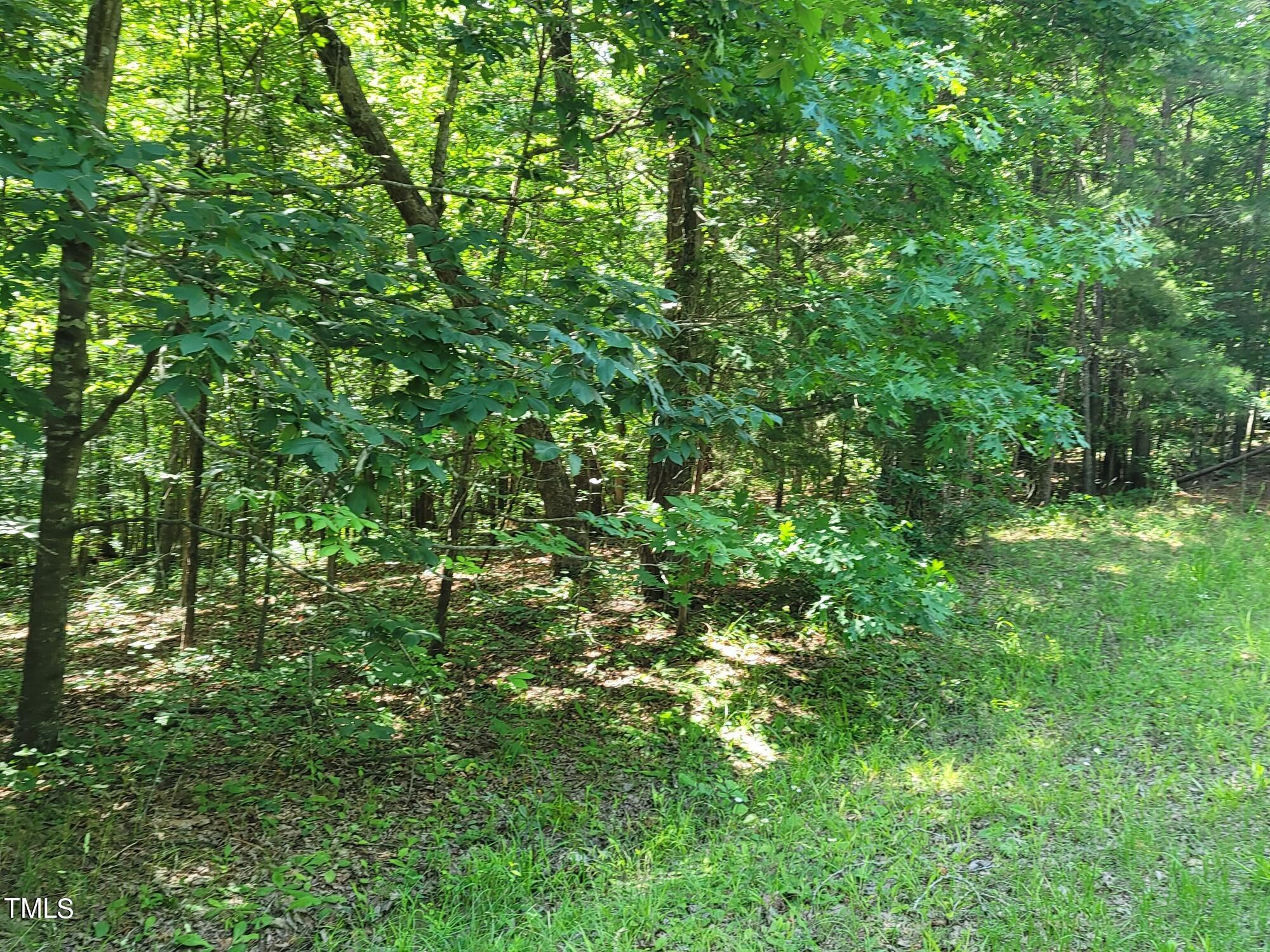Photo #31