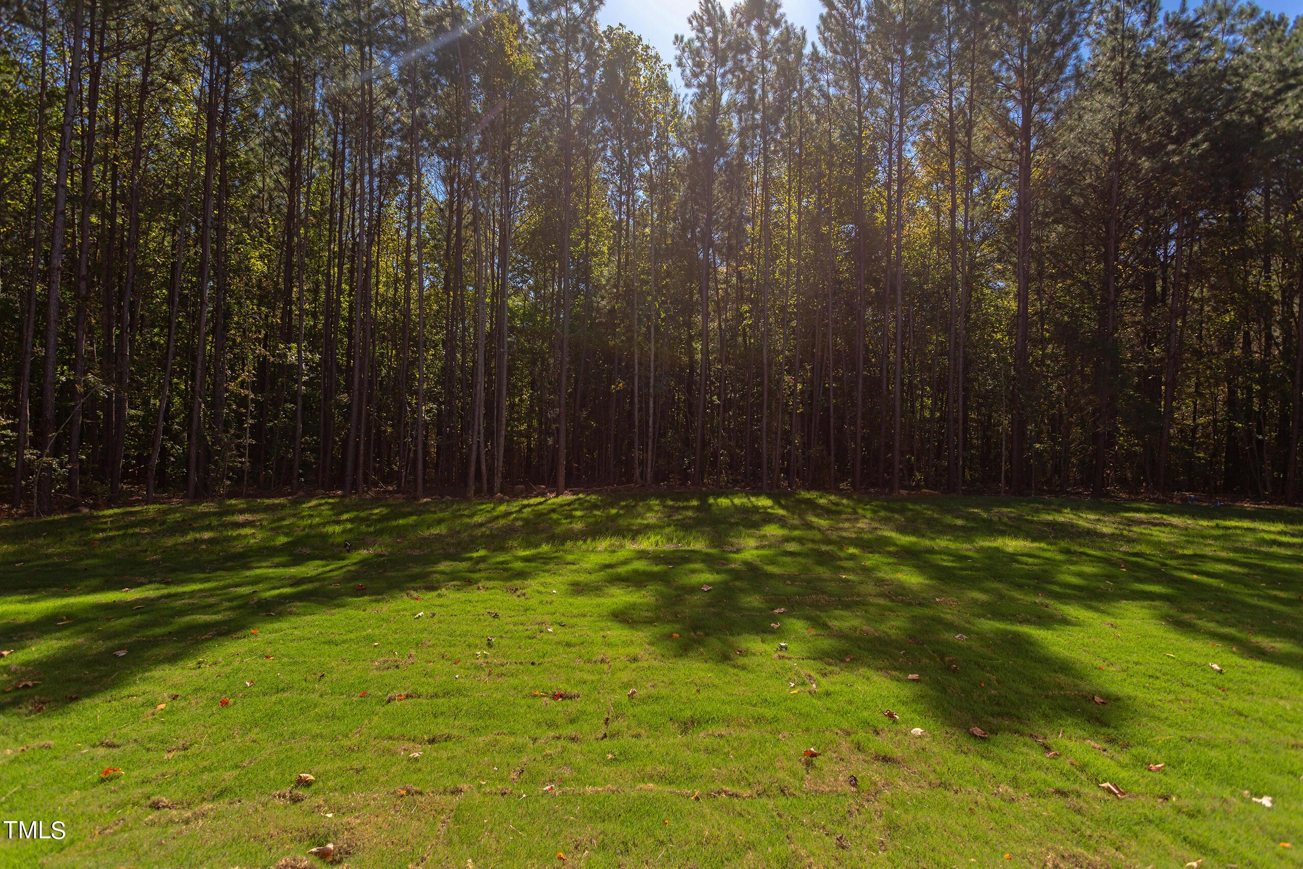 Photo #55