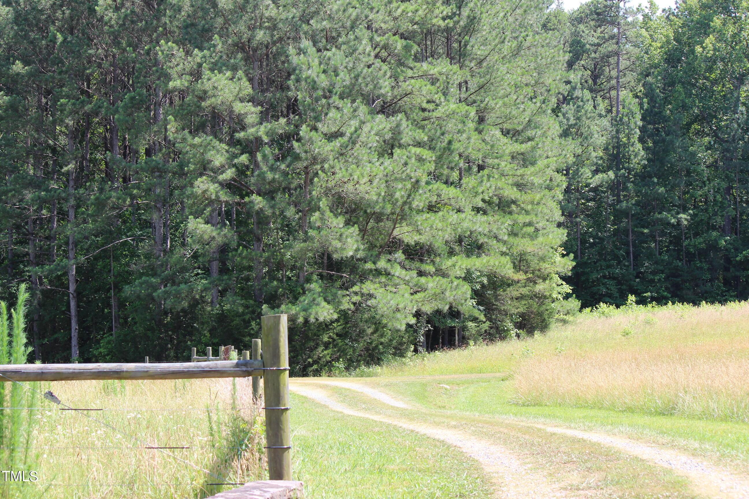 Photo #31