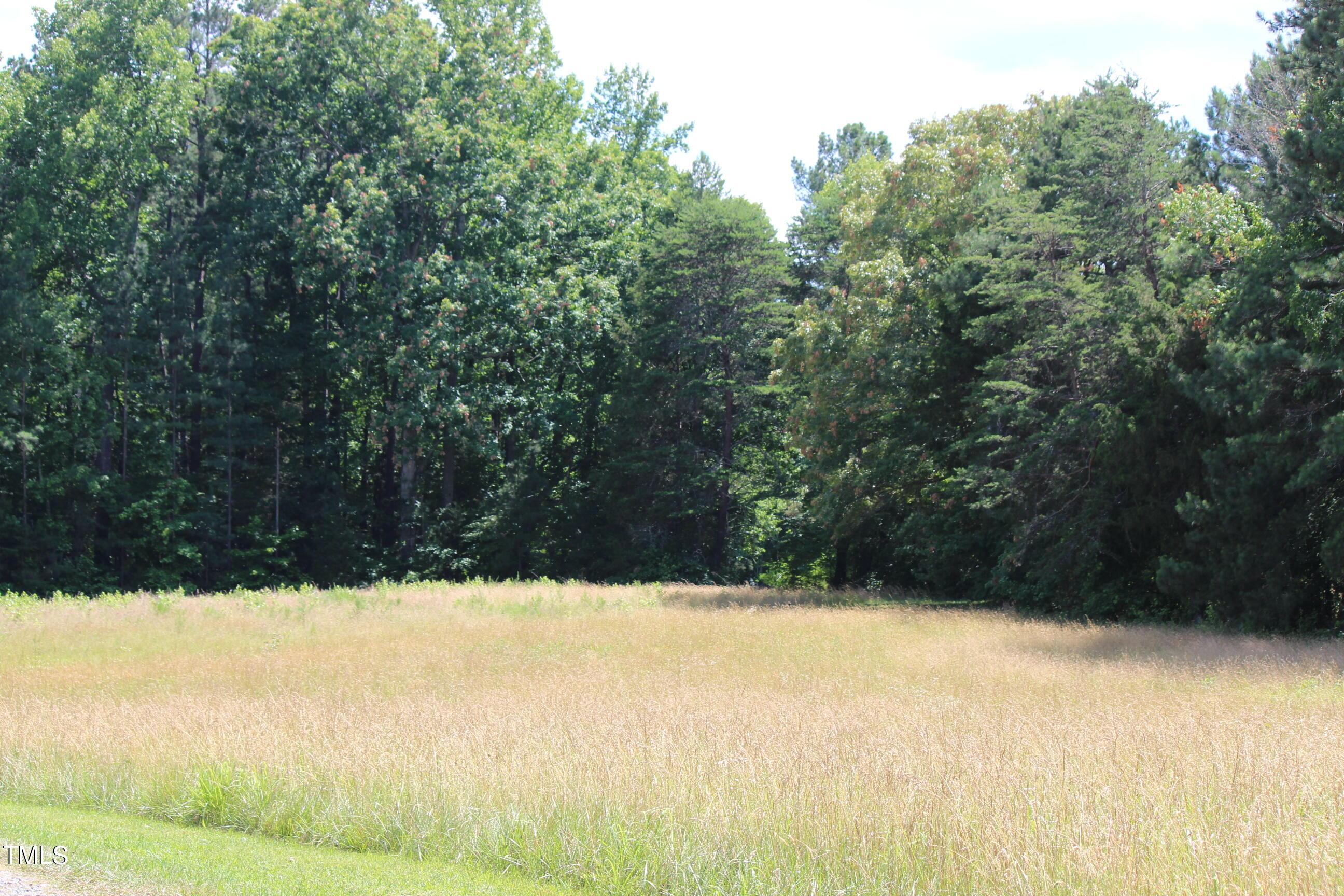 Photo #28