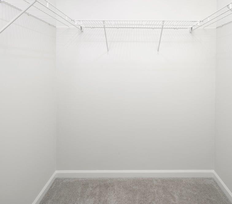 Photo #14