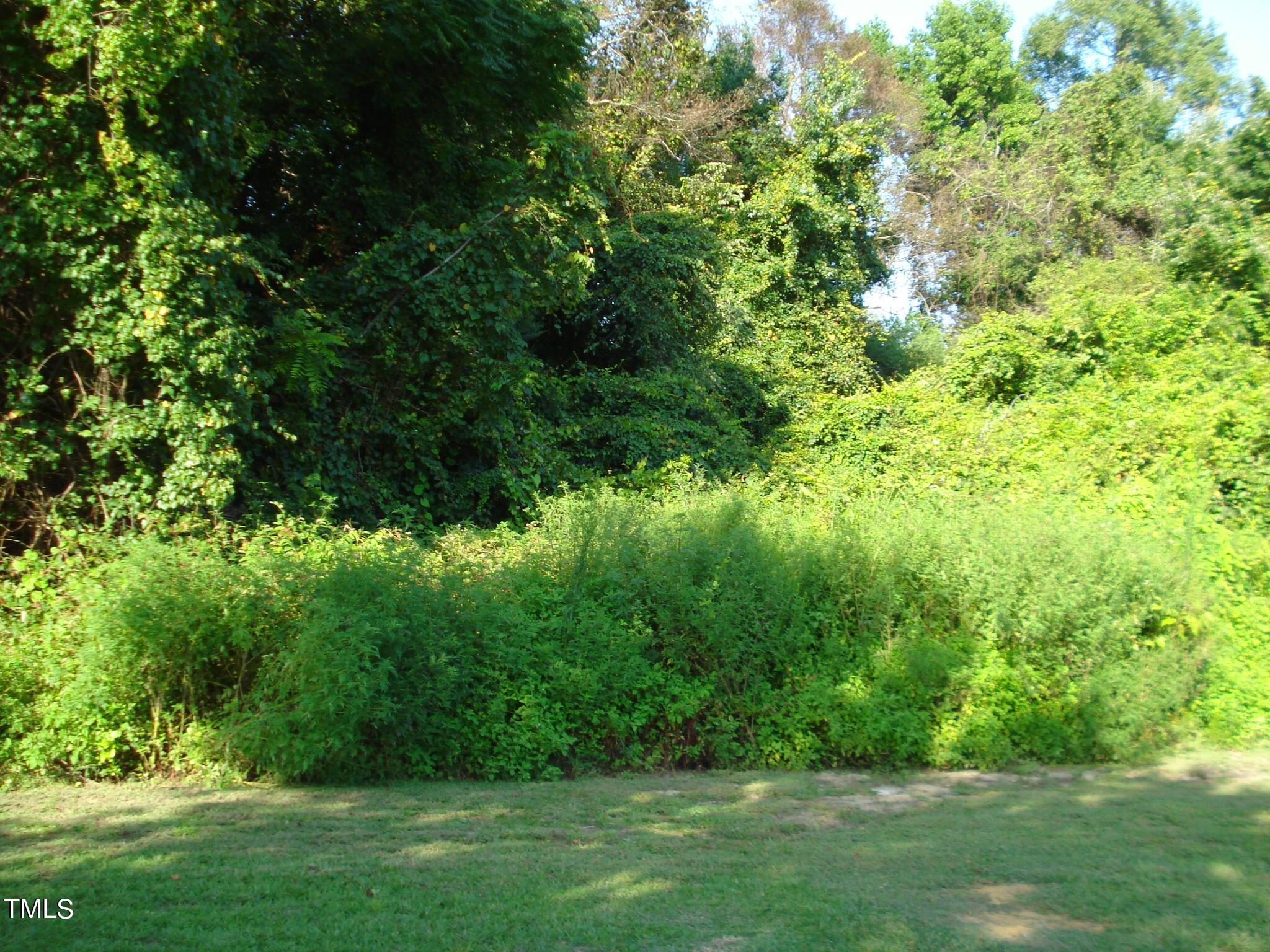Photo #50