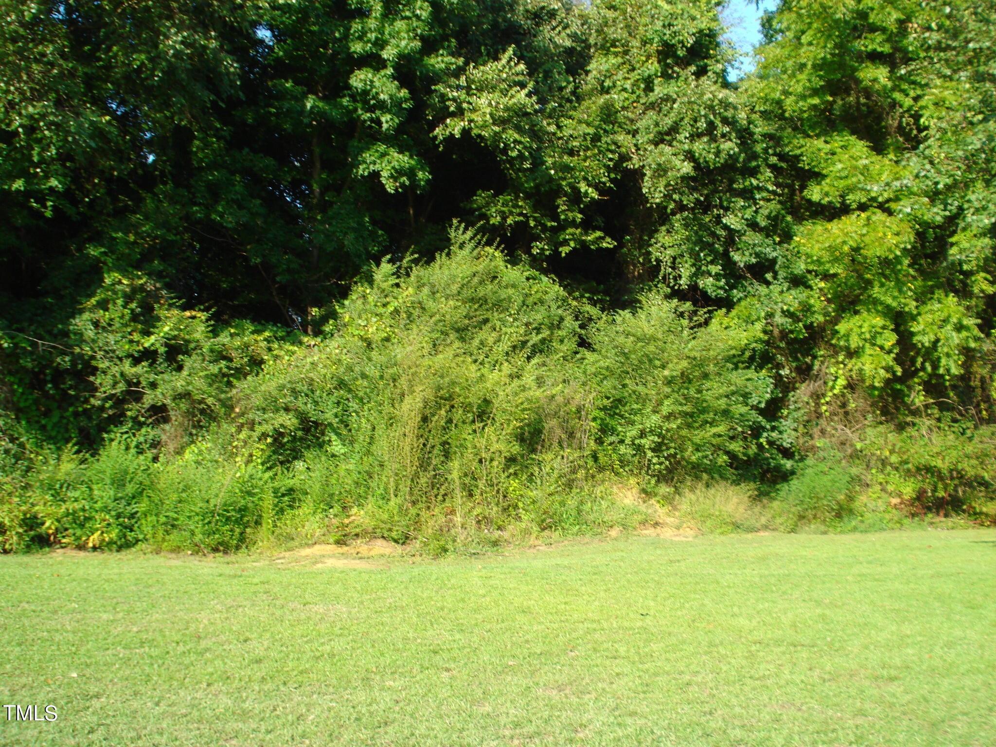 Photo #48