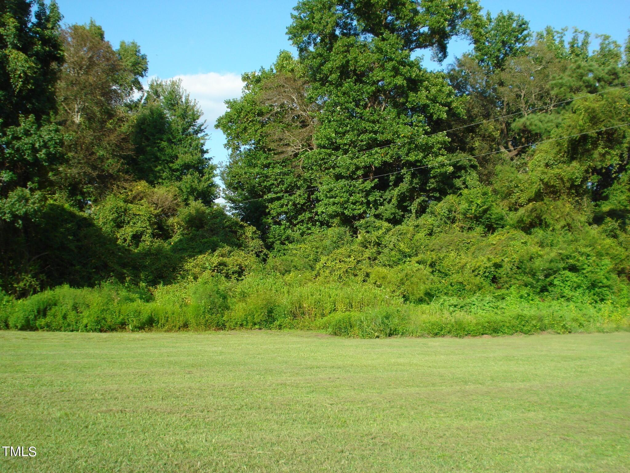 Photo #45