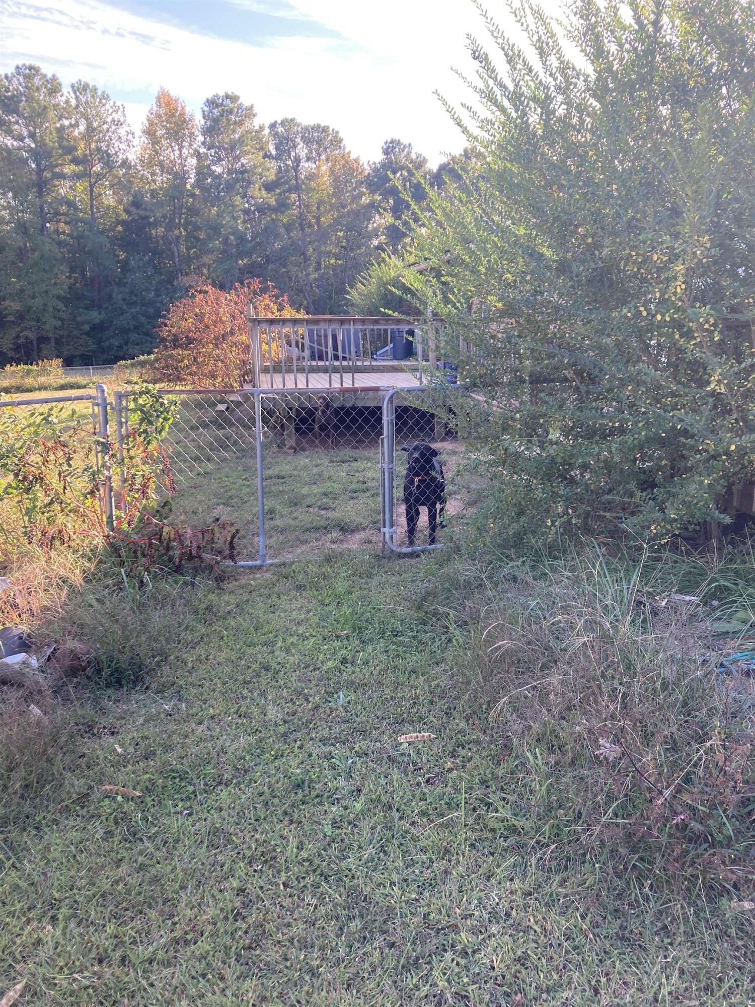 Photo #34