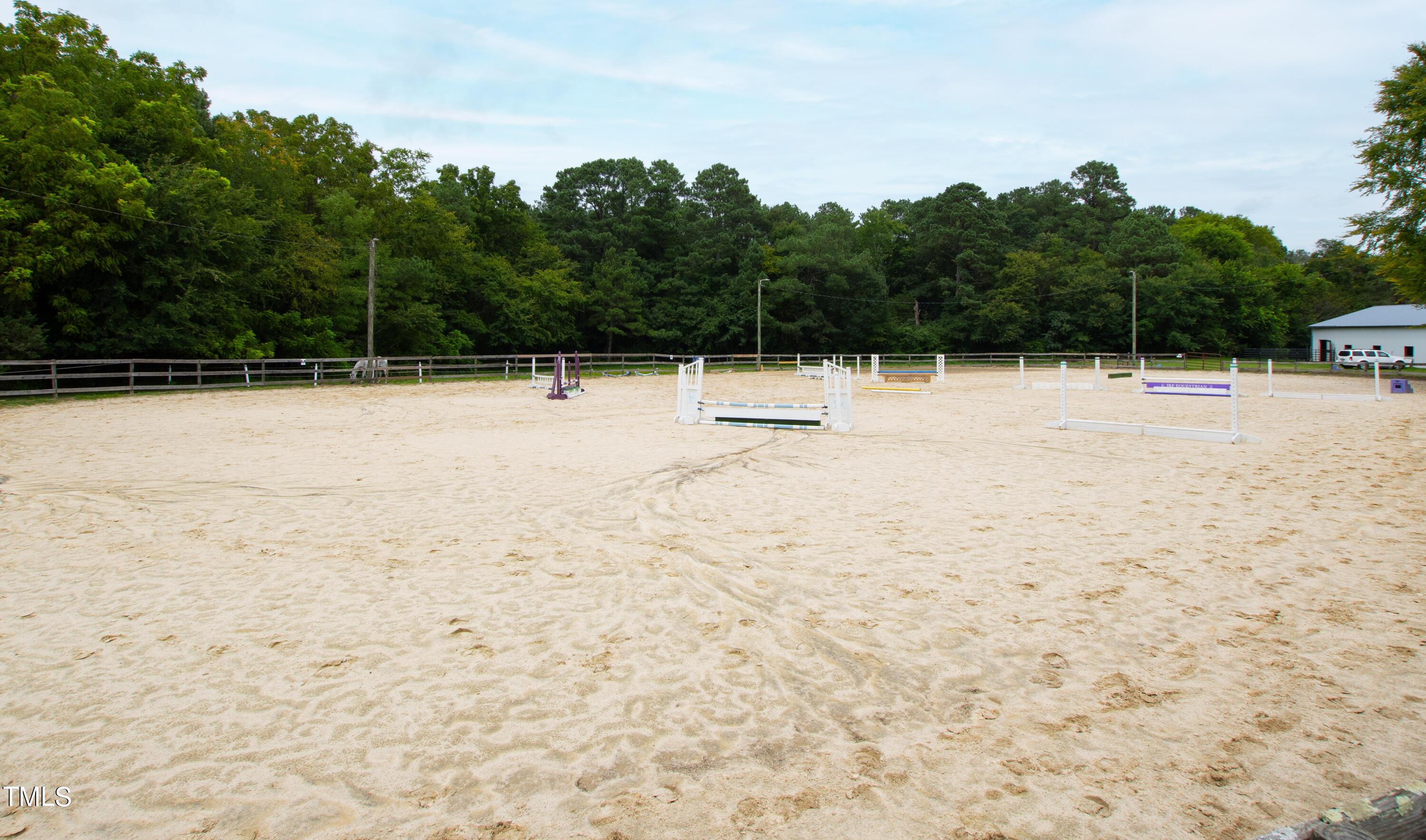 Photo #16