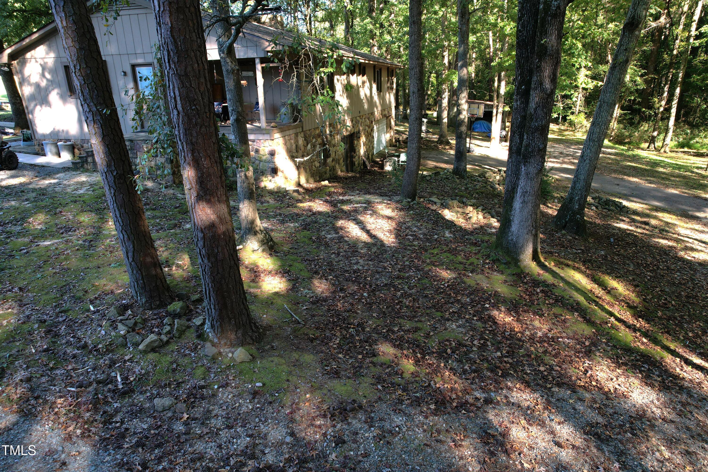 Photo #4