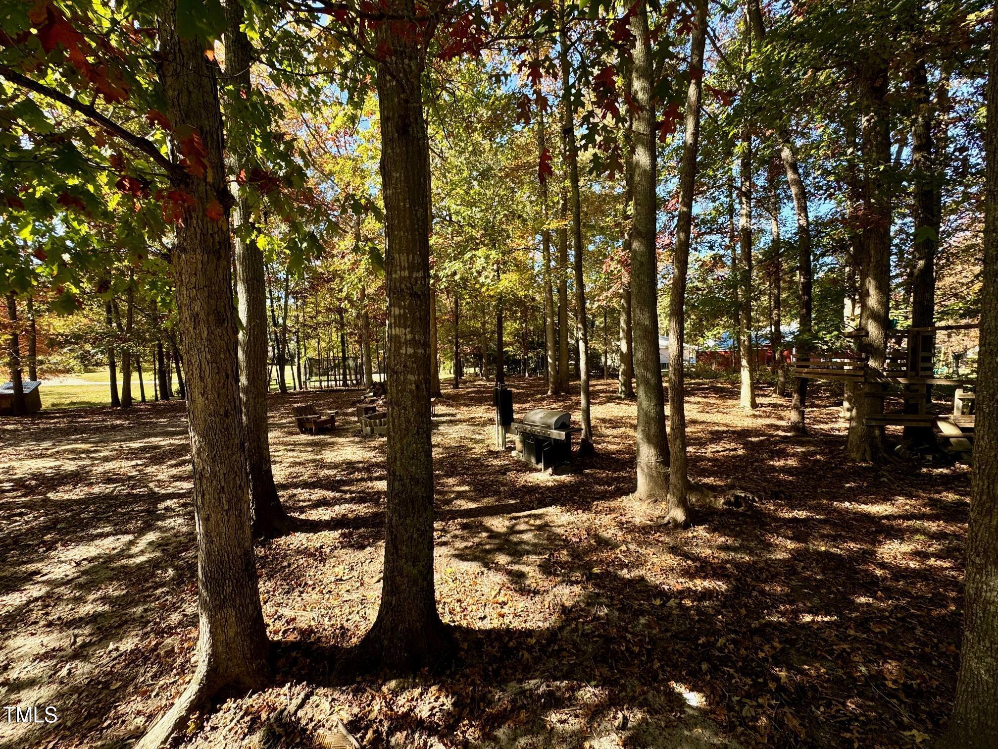 Photo #30