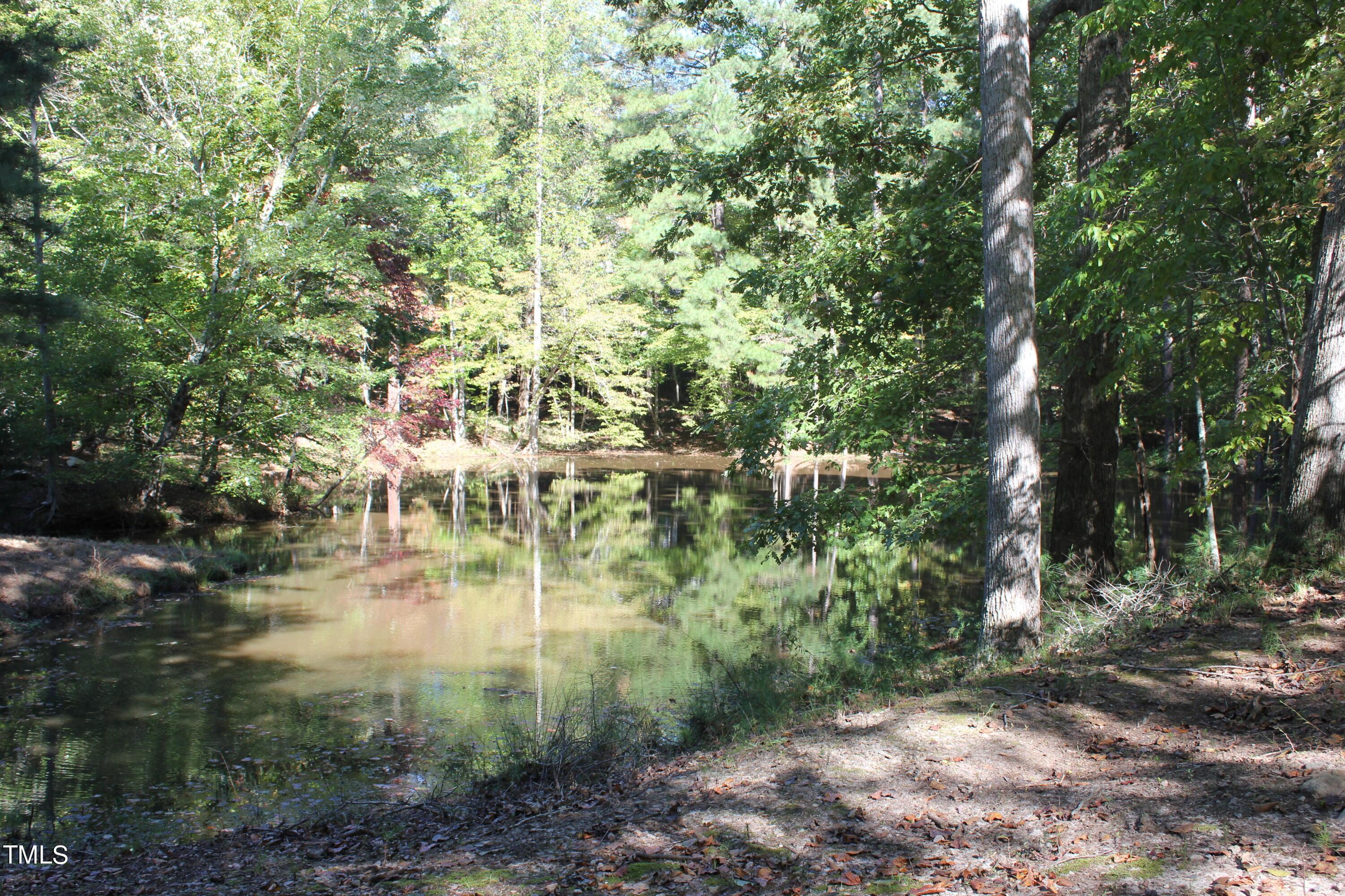 Photo #47