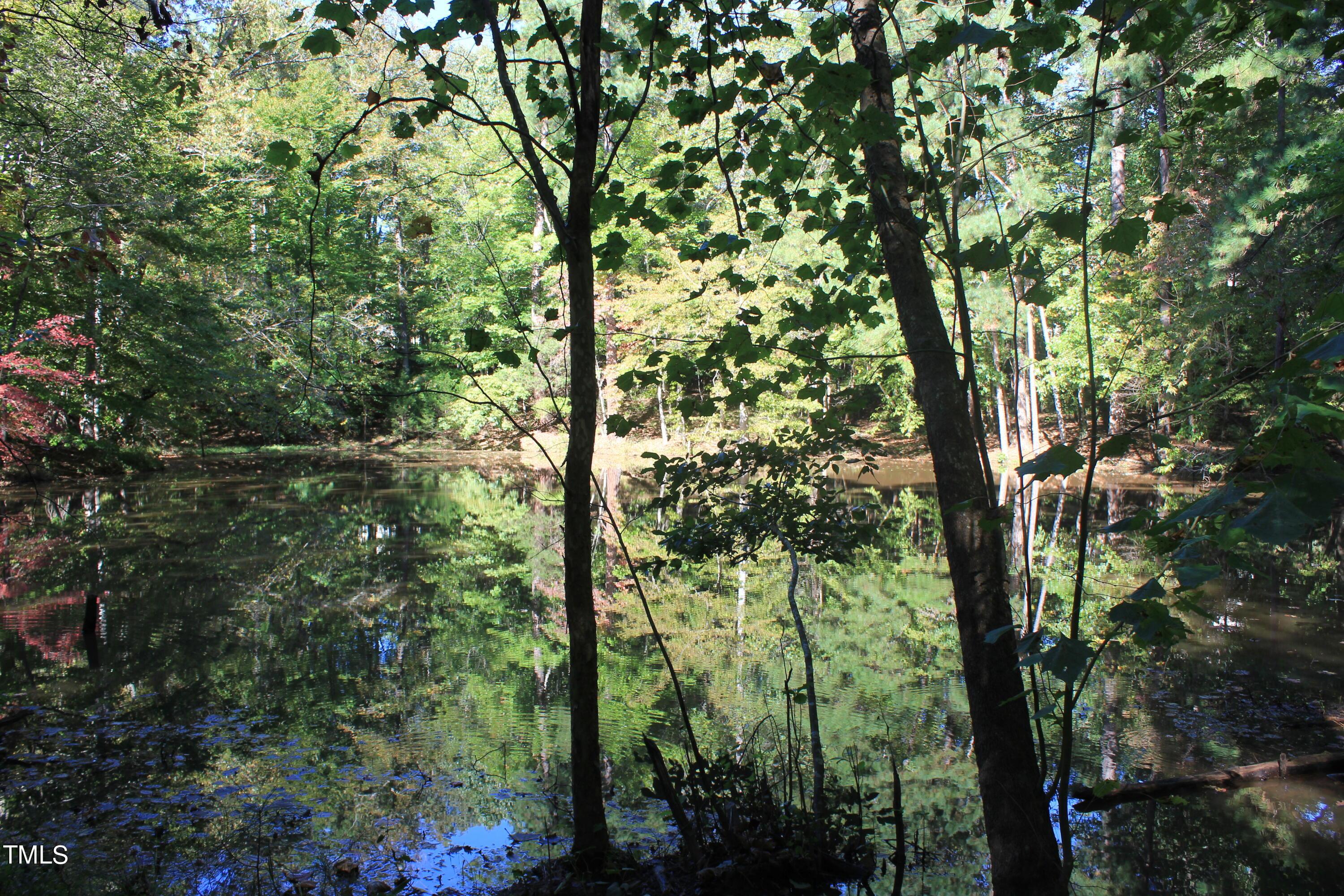 Photo #48