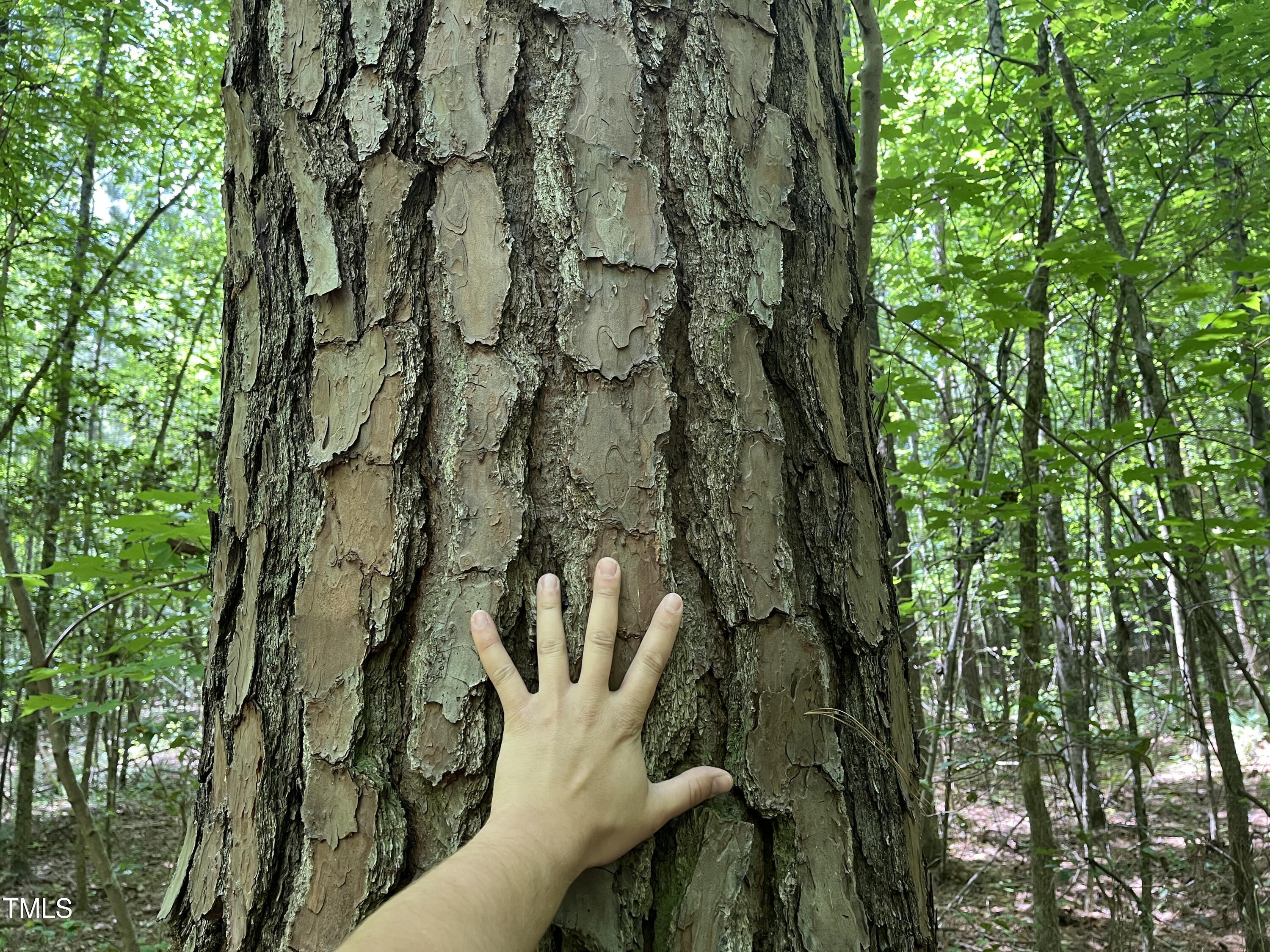 Photo #48