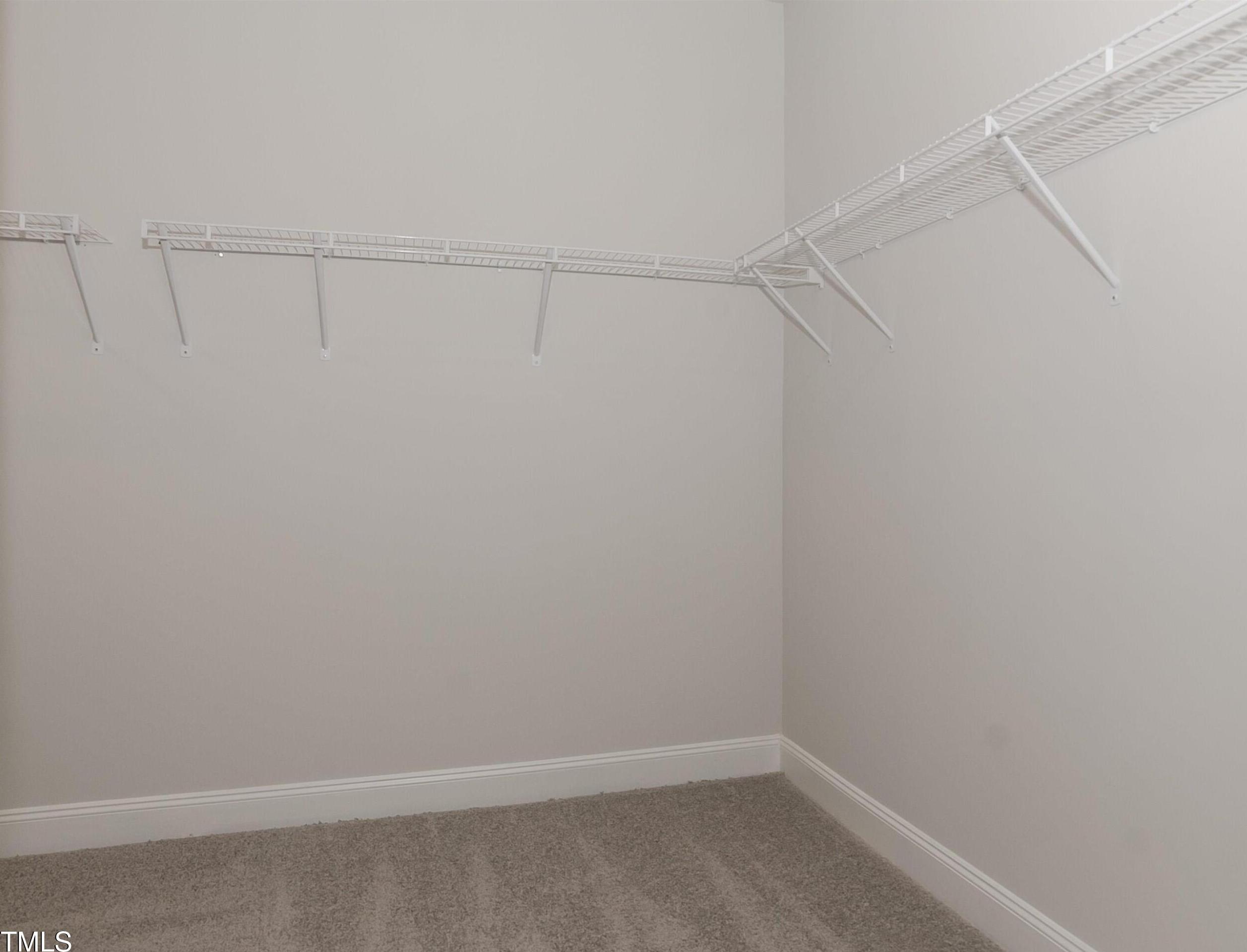 Photo #18