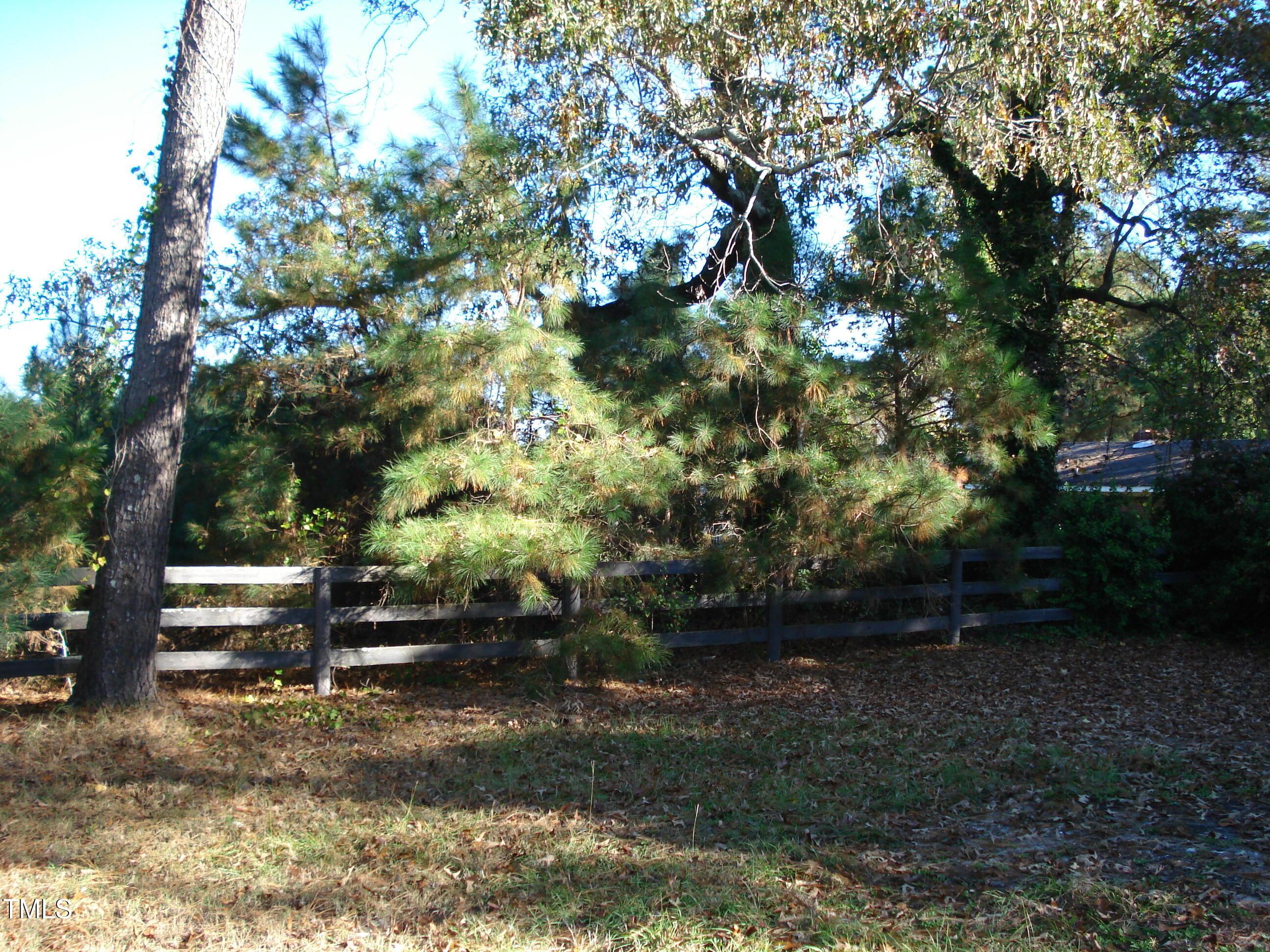Photo #14