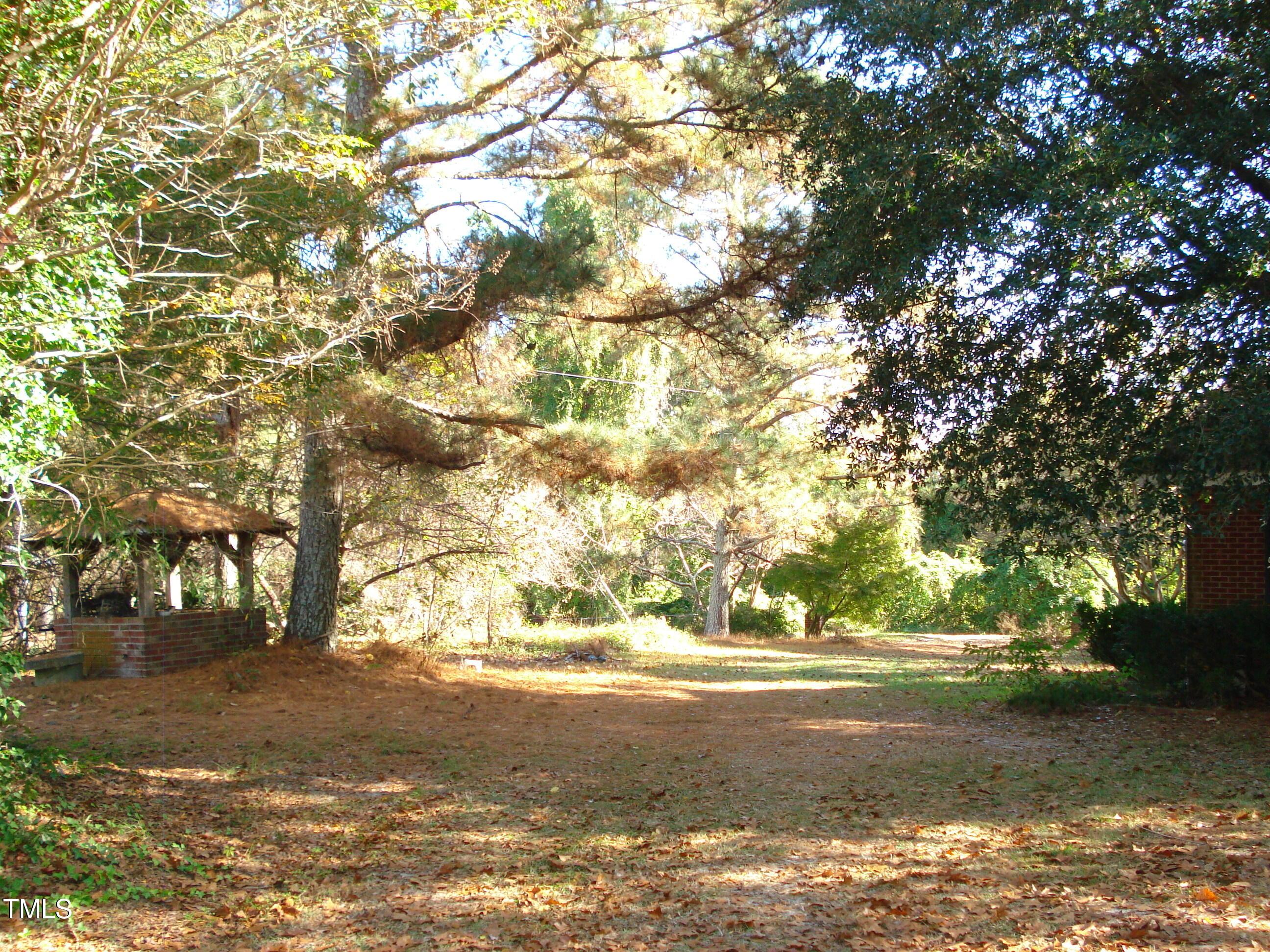 Photo #55