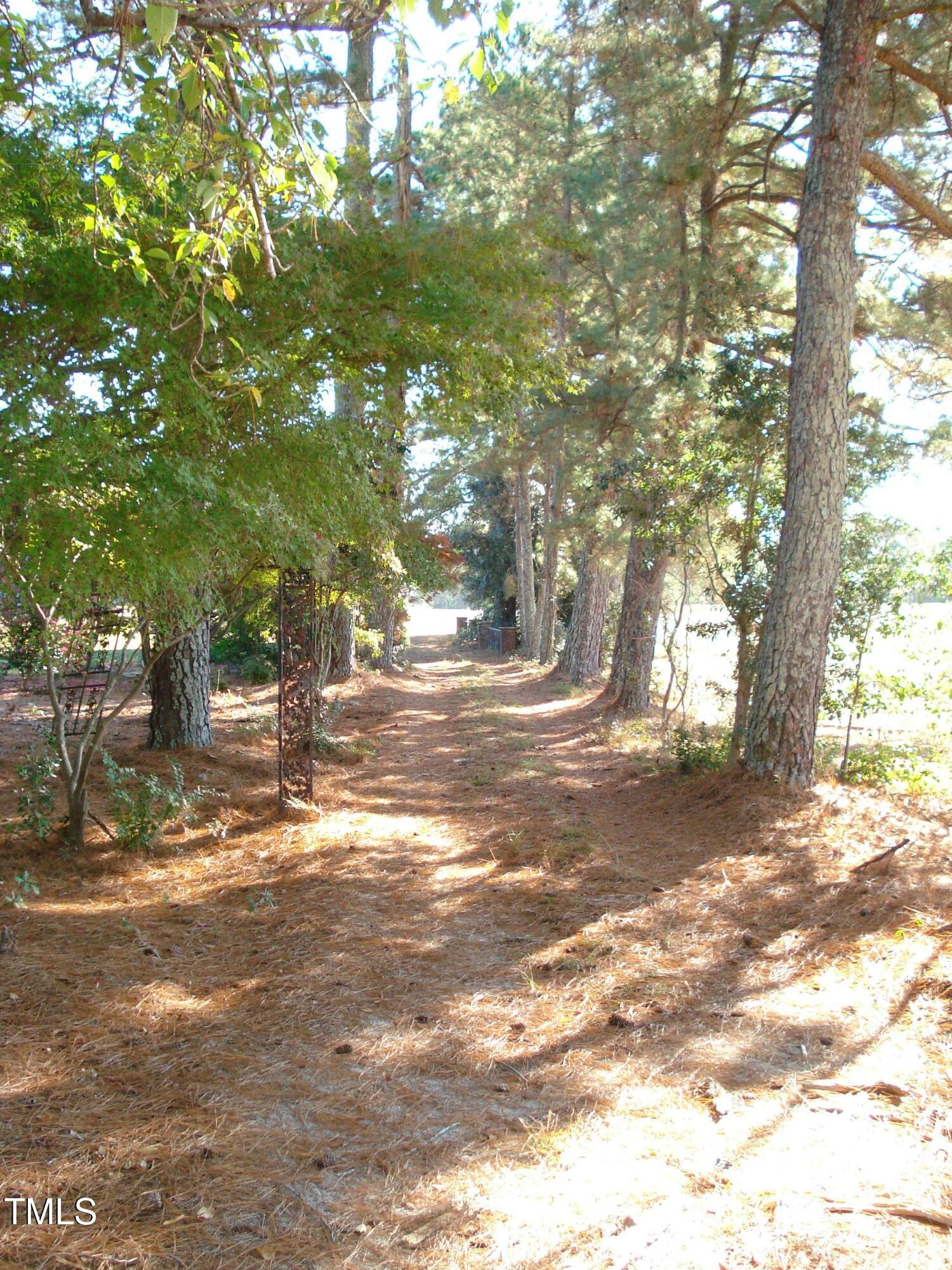 Photo #42