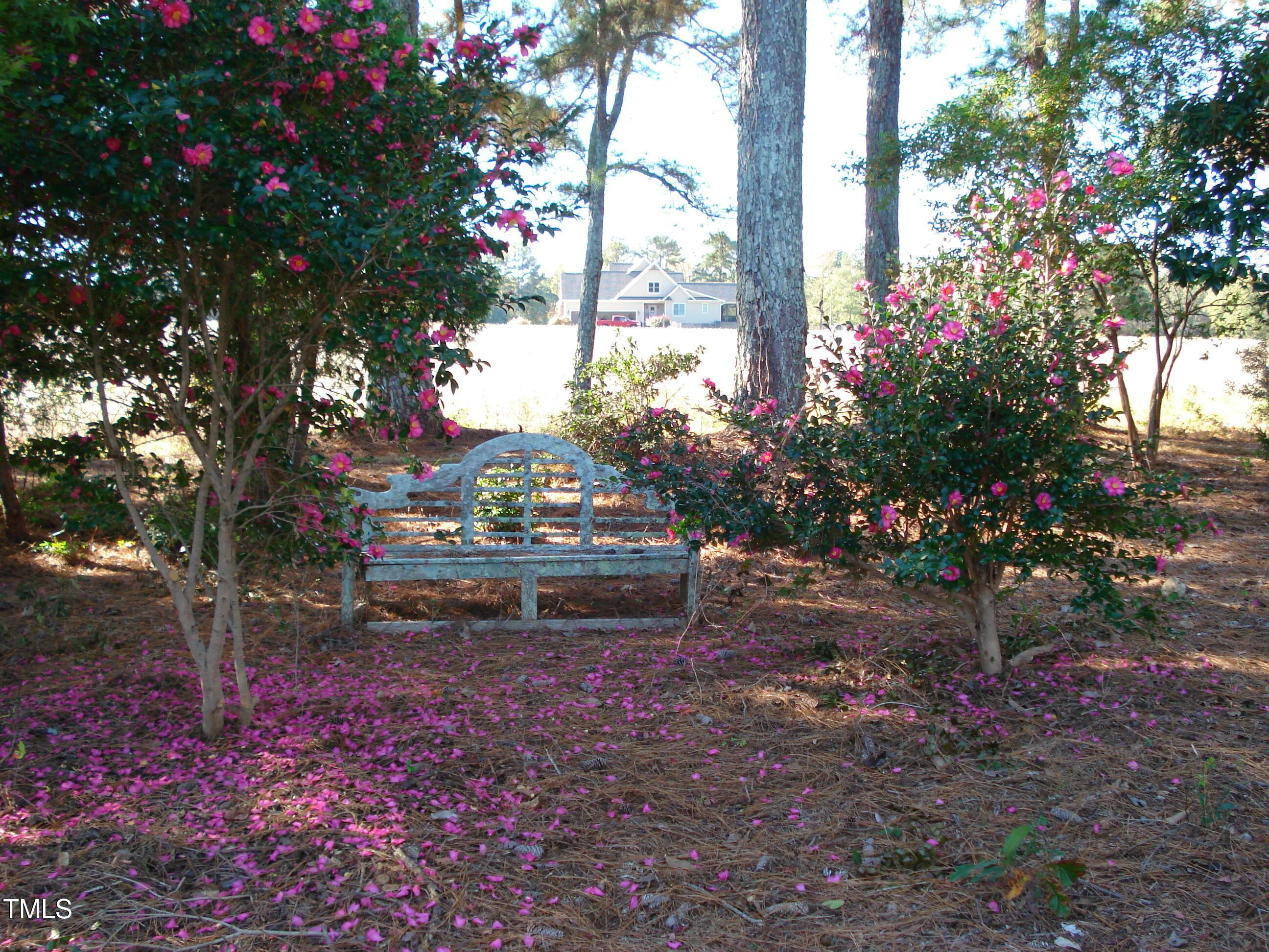 Photo #51