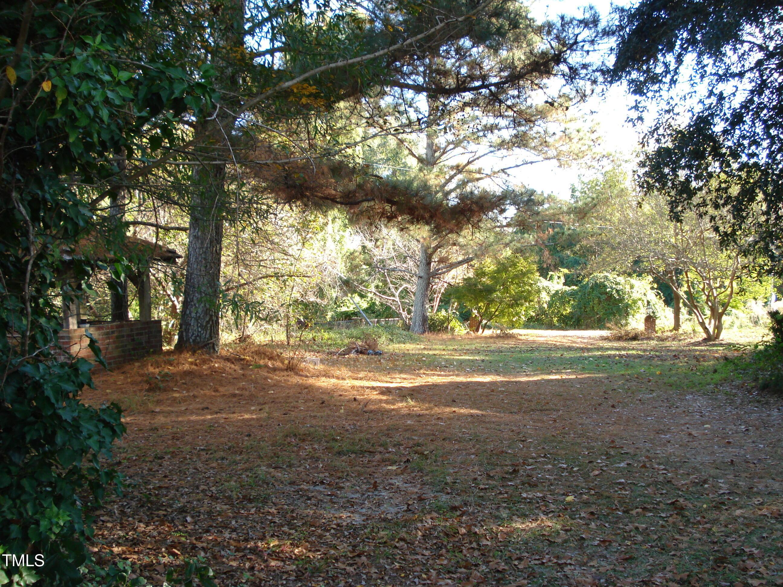 Photo #15