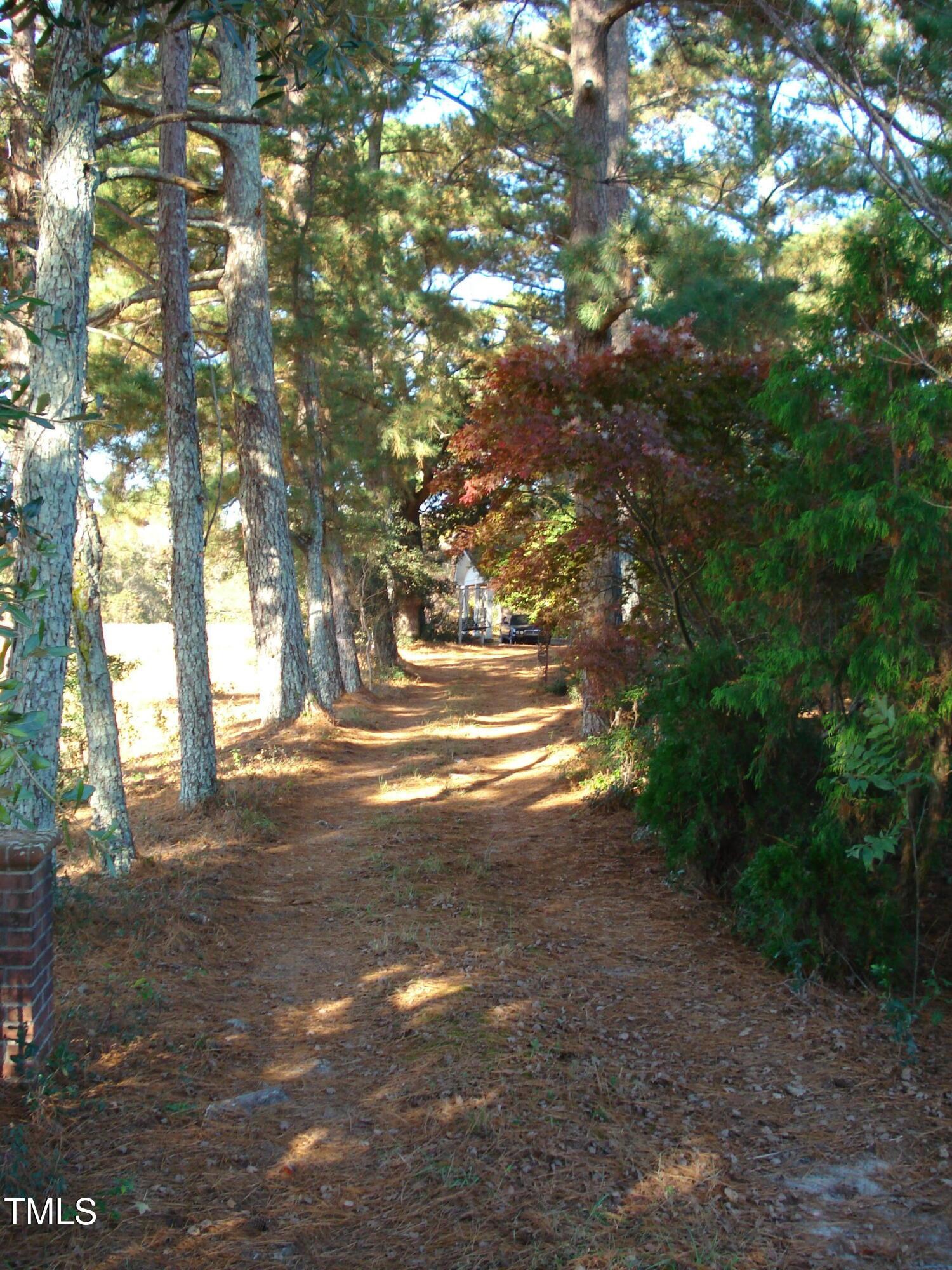 Photo #8