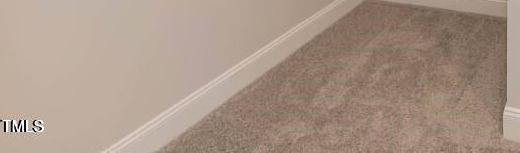 Photo #15
